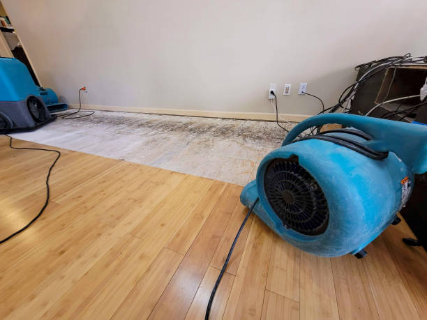 Professional Water Damage Repair technician working in Terra Alta, WV